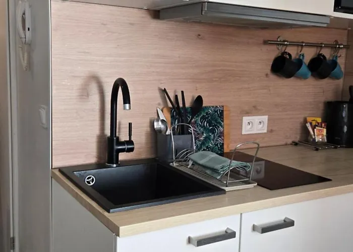 Mikroapartament Gamma Dyrekcyjna 3*